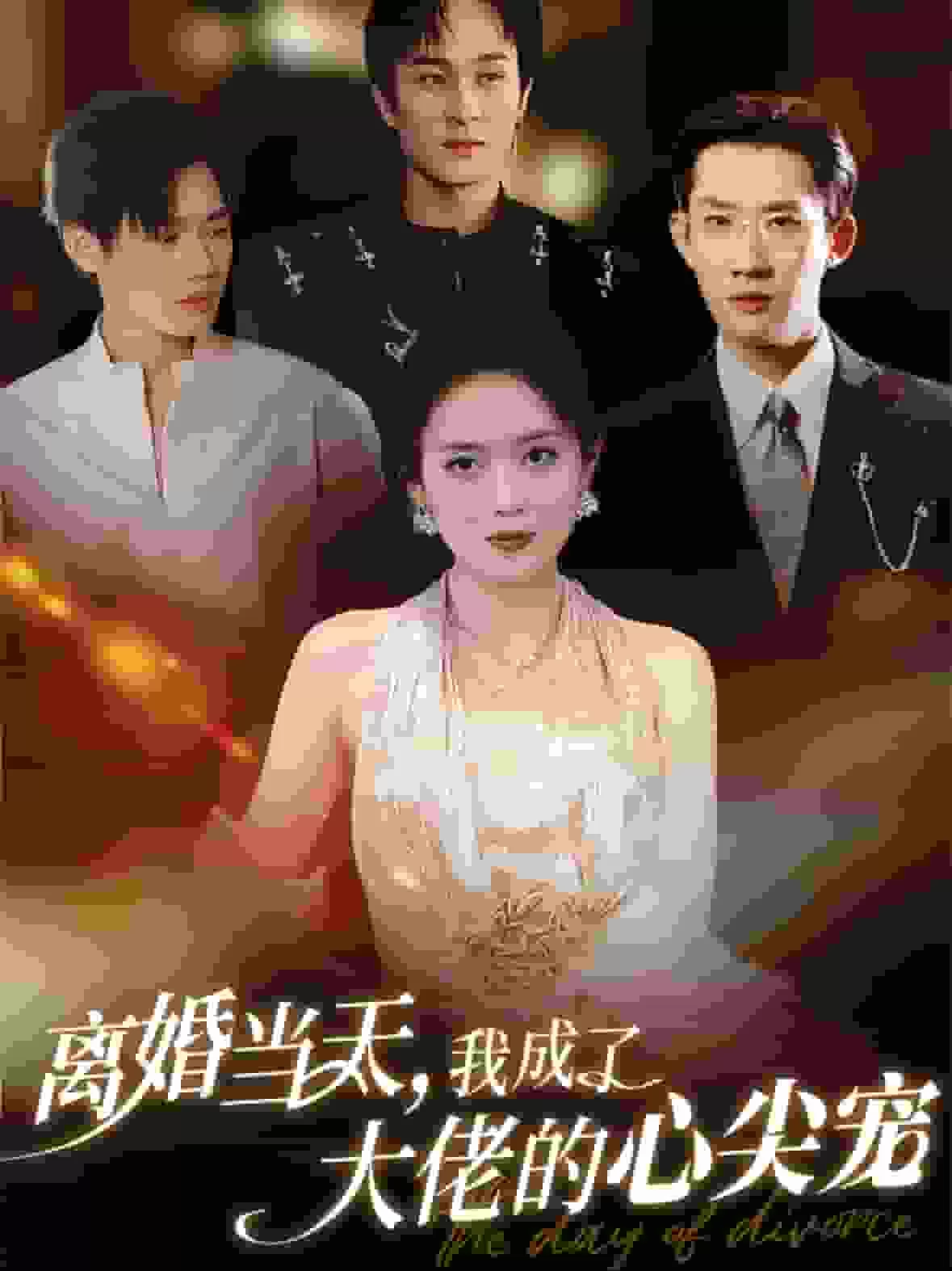 离婚当天我成了大佬的心尖宠